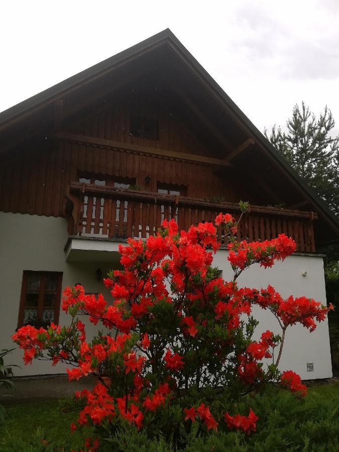 Apartmany 670 Pod Lysou Horou Rokytnice nad Jizerou Εξωτερικό φωτογραφία